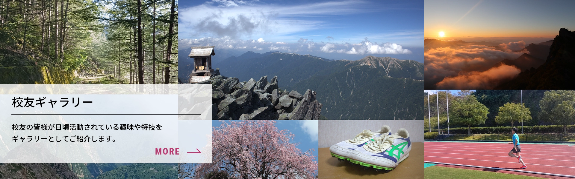 校友ギャラリー
